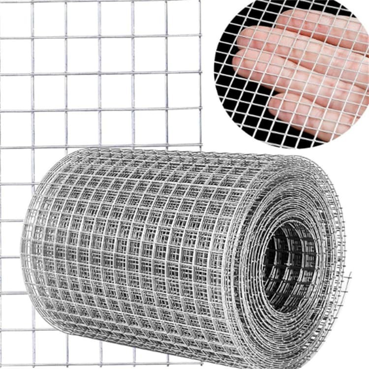 רשת חוט מרותך מגולוון