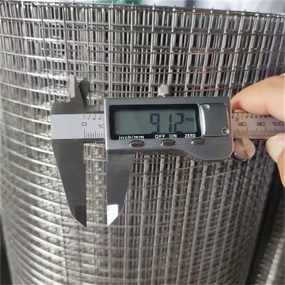 Ss רשת תיל מרותכת